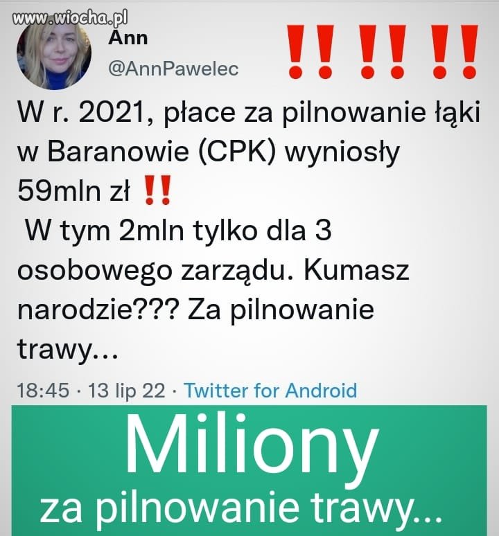 Najdroższa trawa świata