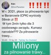 Najdroższa trawa świata