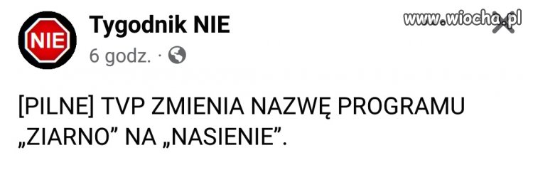 W punkt! 