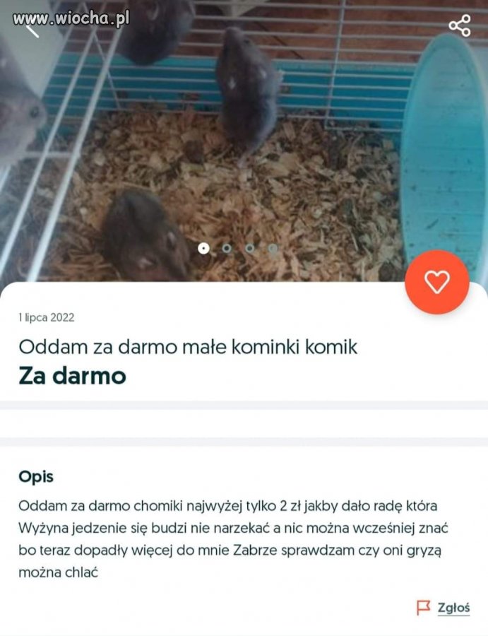 Piłeś? Nie siadaj do kompa