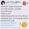 Po co zabijać, i odpowiadać jak za człowieka?