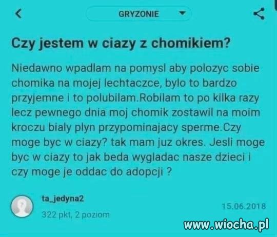 Chomik narozrabiał 