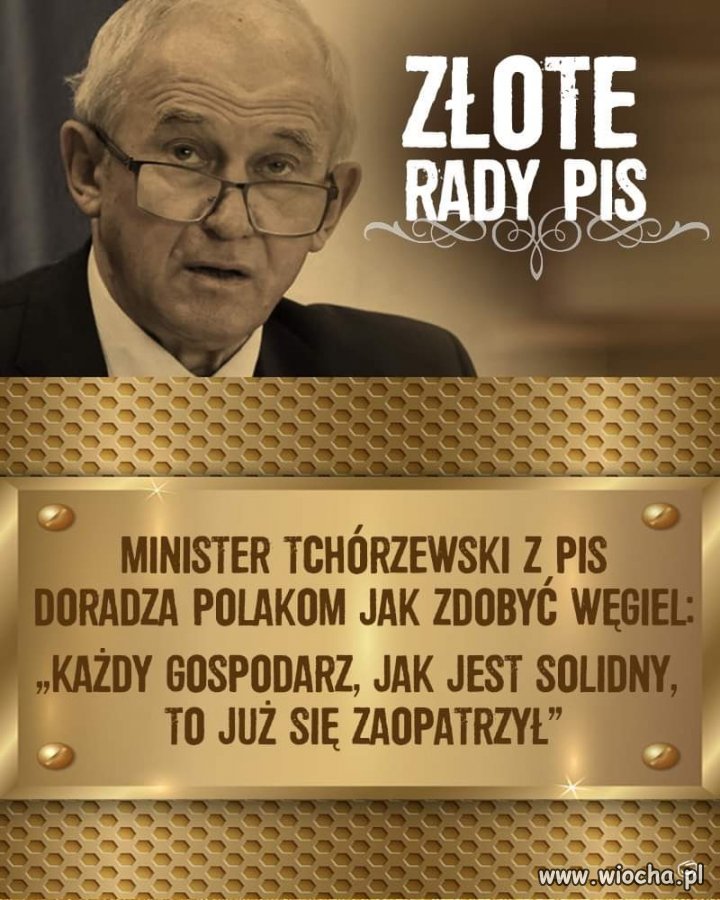 Wszystko 