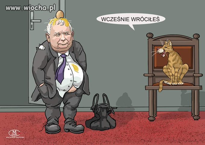 Powrót z tour de PiS