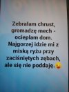 Ja już zaczynam 