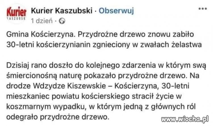 Agresywne drzewa. 
