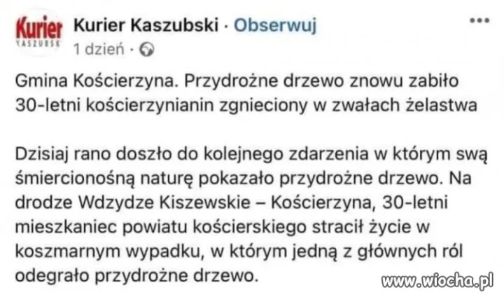 Agresywne drzewa. 
