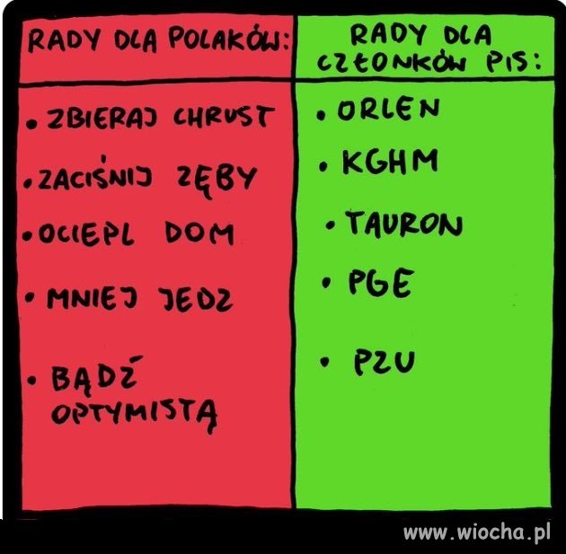 Rady dla Polaków