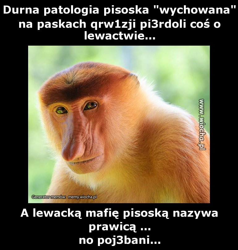 Durna patologia pisoska "wychowana" na paskach