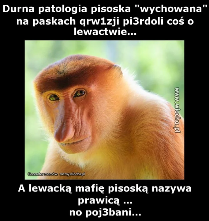 Durna patologia pisoska "wychowana" na paskach