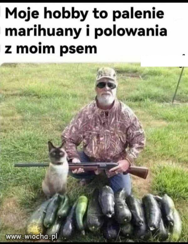 A wy jakie macie hobby?