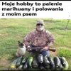 A wy jakie macie hobby?