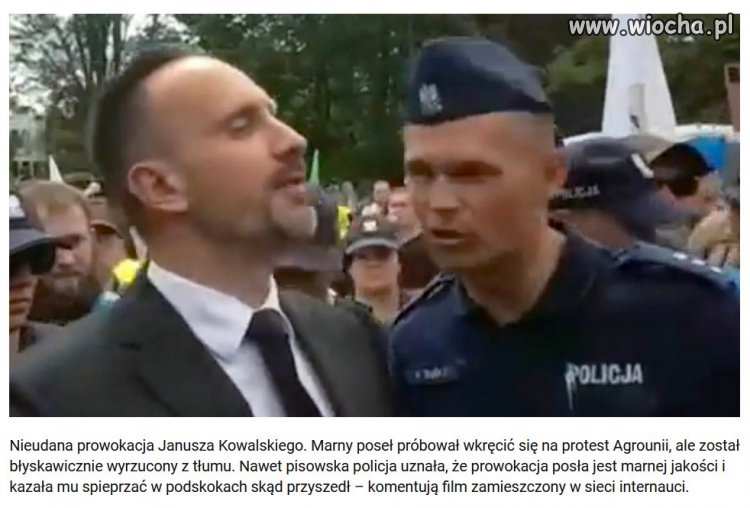 Prowokator! Co Kowalskiemu strzeliło do głowy? 