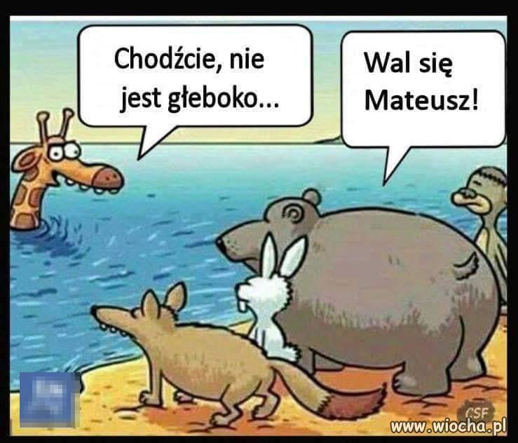 Bez obaw. Wchodźcie 