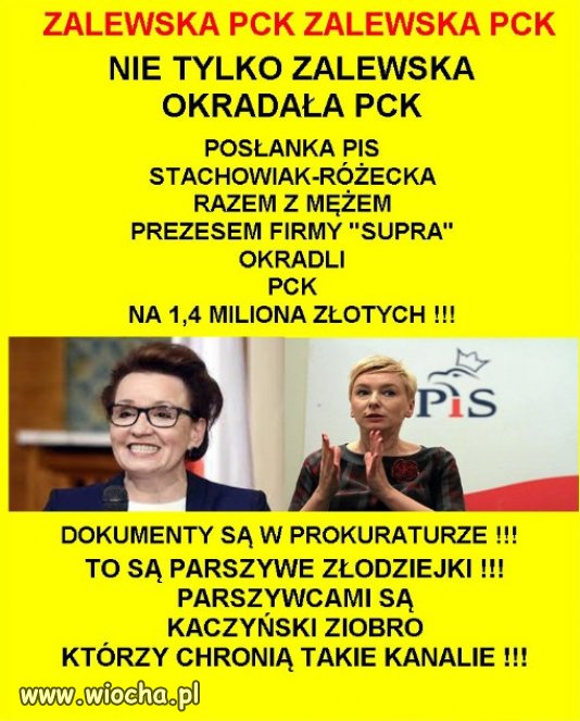 Czy w PiS jest ktos uczciwy?