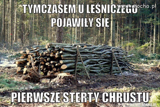 Pierwsze materiały do ocieplania domu