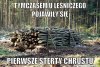 Pierwsze materiały do ocieplania domu