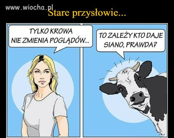 Wszystko zależy od siana 