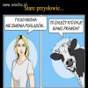 Wszystko zależy od siana 
