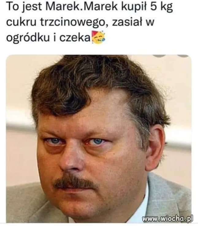 Marek jest geniuszem 