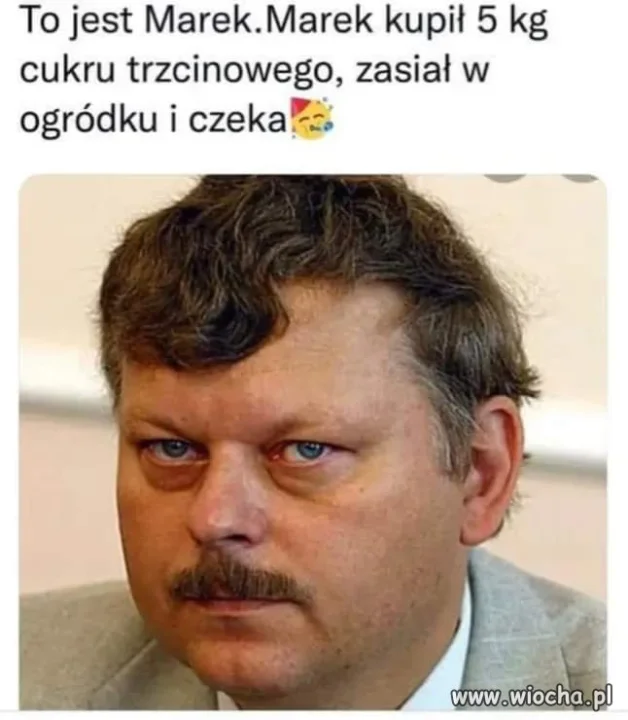 Marek jest geniuszem 