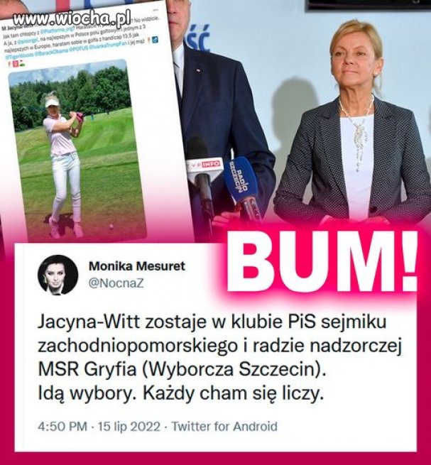 Elity pisowskie