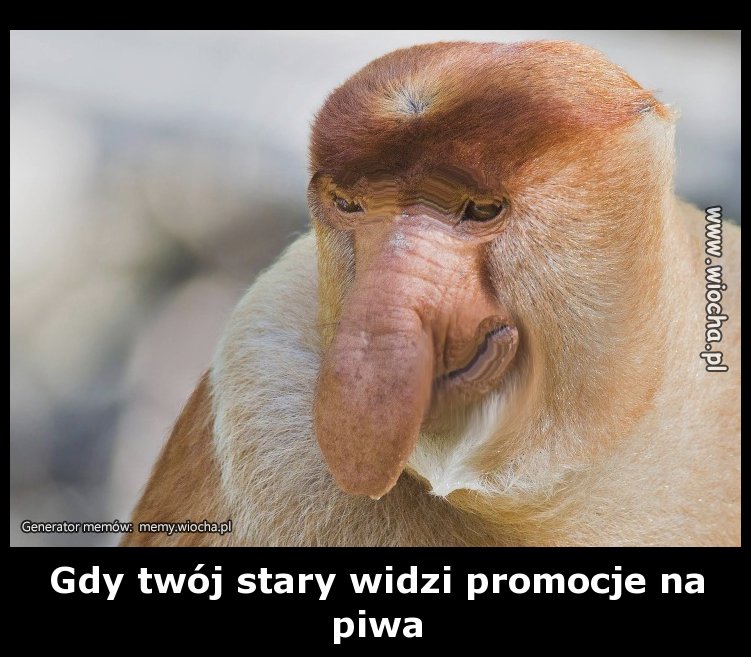 Gdy twój stary widzi promocje na piwa