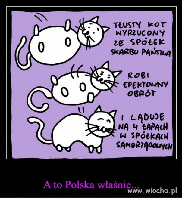 Polska tłustych kotów Kaczyńskiego...