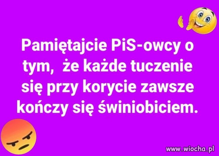 Przepowiednia 