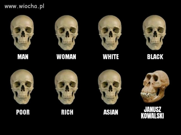 Czysta nauka.