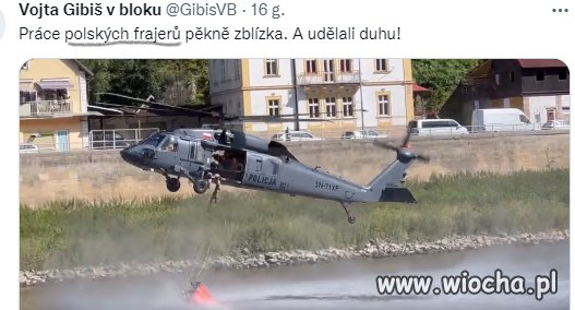 Polskie "frajery" w akcji