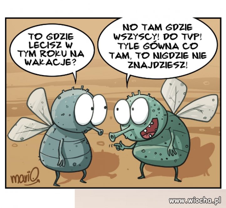 Kierunek wakacyjny 