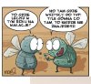 Kierunek wakacyjny 
