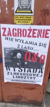 Znalezione 