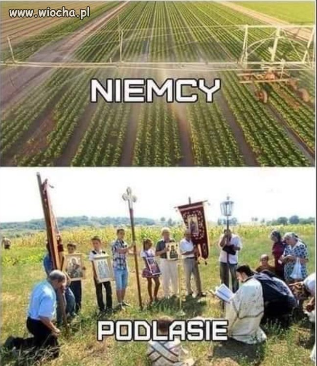 Dwa sposoby na suszę