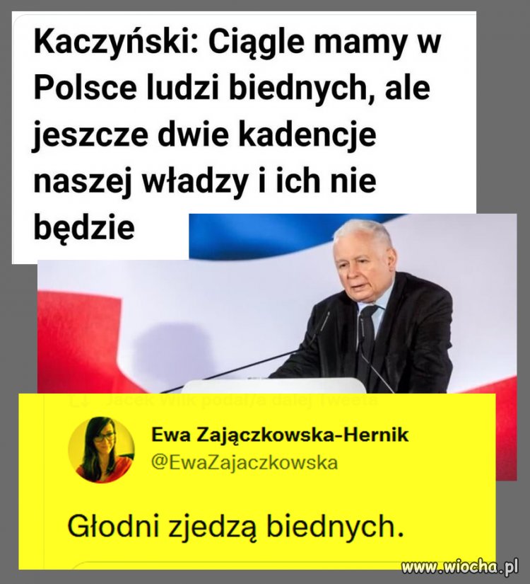 A ogłasza to osoba, która biedy nigdy nie zaznała, najwięcej wie o aborcji nie mając żony, a gacie pierze mu pani Basia.
