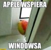 Miła współpraca