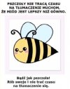 Bądź jak pszczoła 