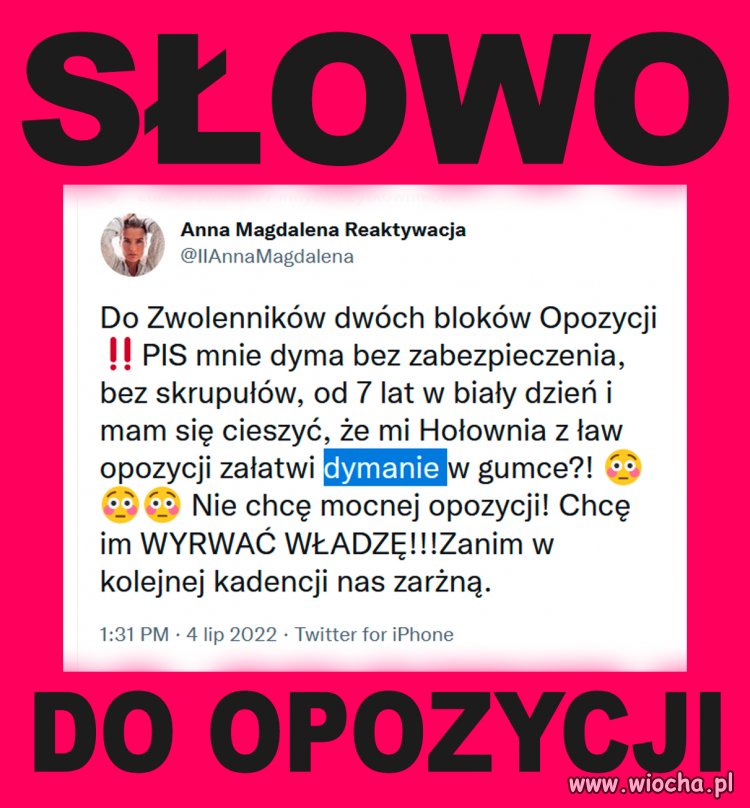 Wszyscy pisowcy wylądują za kratami!