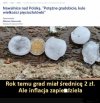Nawet grad