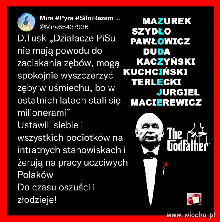 Czy ktoś widział kiedyś biednego pisiora? 