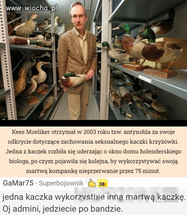 Tak to jest z kaczkami 