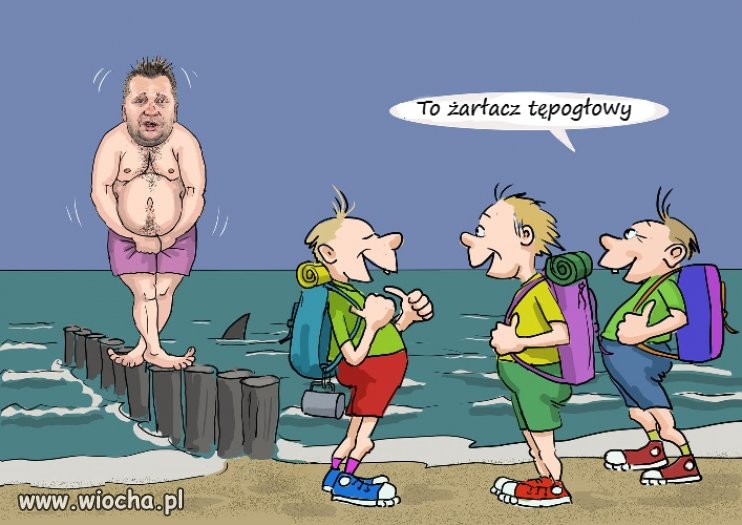 Tępogłowy 
