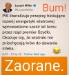 Trafne porównanie