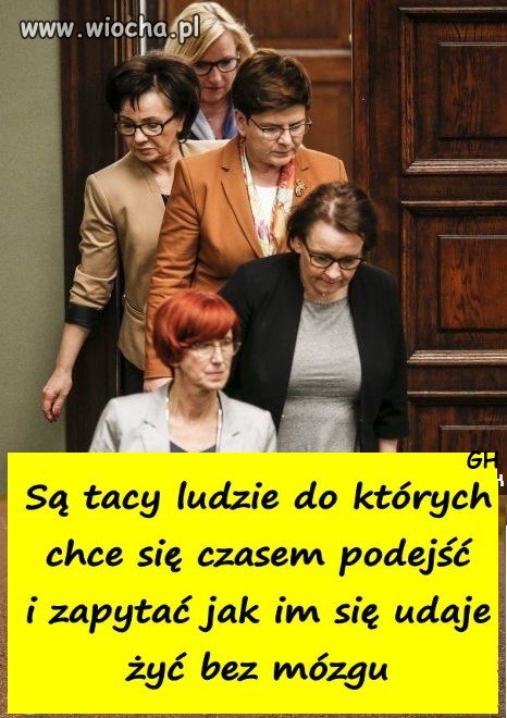 Prezent dla moich kleszczy !