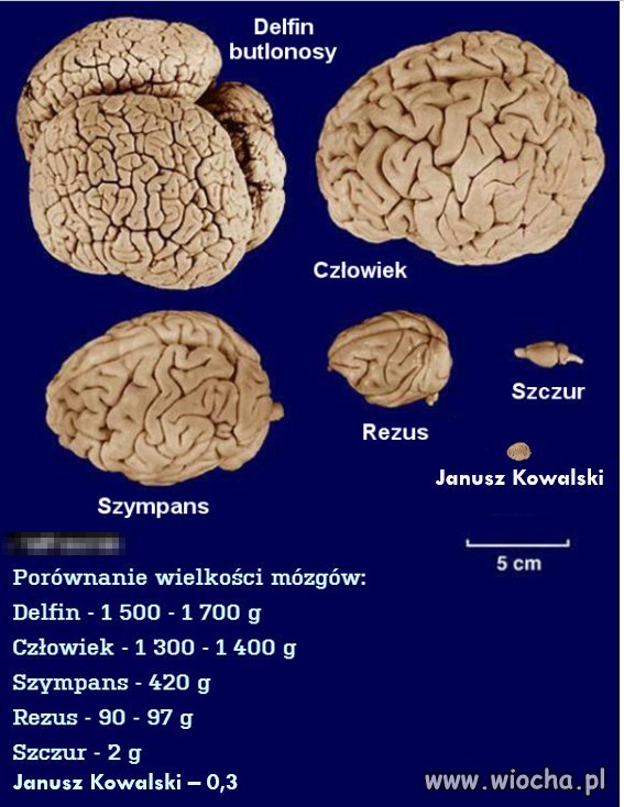 Życie bywa okrutne