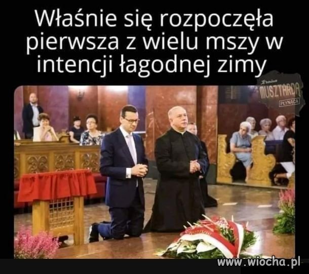 To potrafią na zawołanie