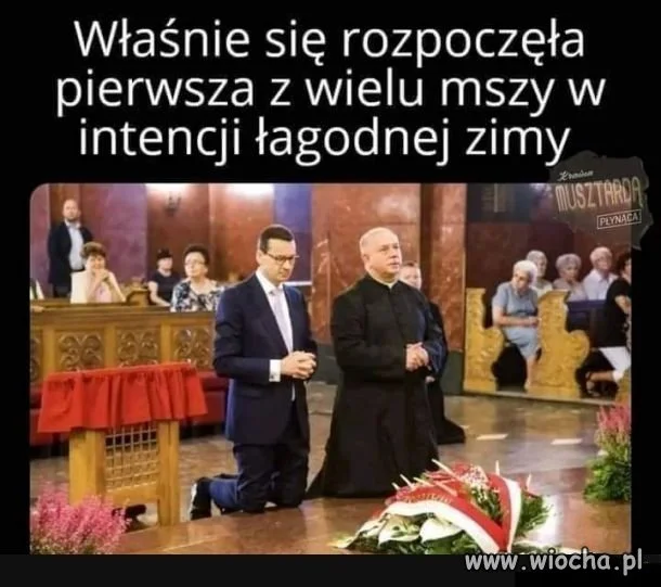 To potrafią na zawołanie