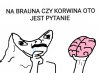 Loteryja
