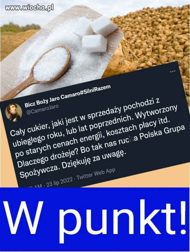 Uprawa buraka cukrowego